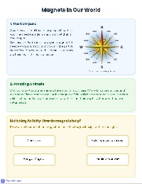 Magnet Magic