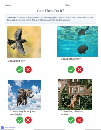 Can and Can't: Action Sorting