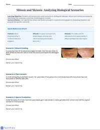 Mitosis and Meiosis Scenarios