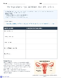 Human Reproductive Systems