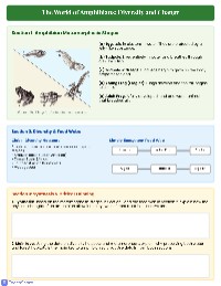 Exploring Amphibians: Lifecycle and Habitats