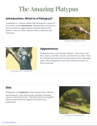 Can you please create another Informative Text on another animal for us to model: the Platypus.  Please follow the same structure as the other one and remember they are early grade 3's