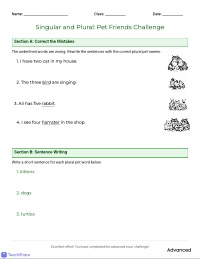 Learning Singular and Plural Pet Nouns