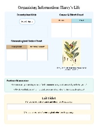 Exploring Text Structures in Writing