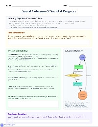 Social Cohesion and Progress Analysis