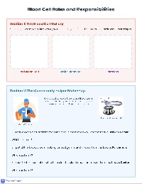 Blood Cell Jobs Worksheet