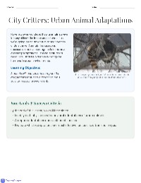 4th Grade Urban Animal Adaptations Overview