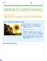 Plant Homeostasis Practice