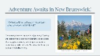 Exploring New Brunswick's Amazing Parks