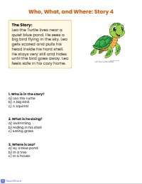 Who, What, and Where Reading Practice