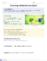 Science of Studying Expert Guide