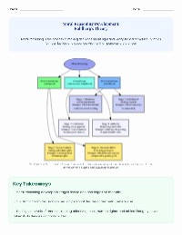 Kohlberg's Moral Reasoning Theory