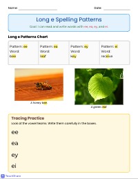 Mastering Long E Word Patterns