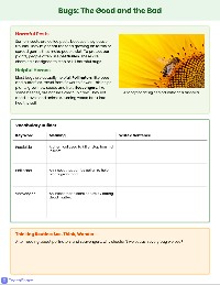 Insect Investigators: Word Detectives
