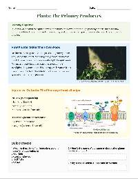 Plant Food and Human Nutrition