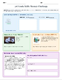 Third Grade Skills Review