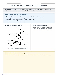 Bovine Artificial Insemination Proficiency