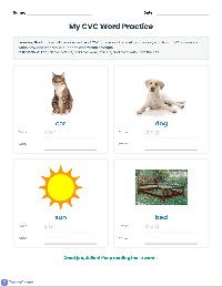 CVC Word Reading Progress Monitor