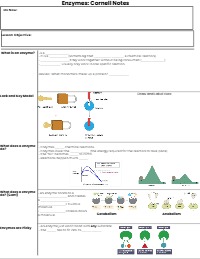 RAEF 2026 Enzymes:Cornell Notes