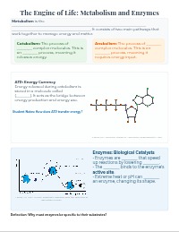 Guided Notes: Chemistry of Human Metabolism