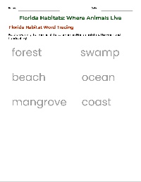 Exploring Florida's Wonderful Habitats