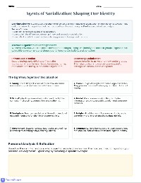 Agents of Socialization Assessment