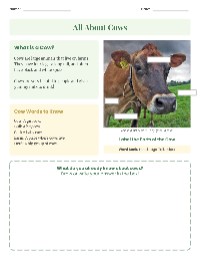 Understanding Cows