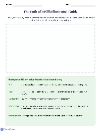 Understanding the Legislative Process