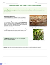 Dutch Elm Disease Explorer