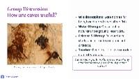 Introduction to Caves