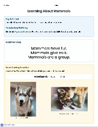 Understanding Mammals: The Big Idea