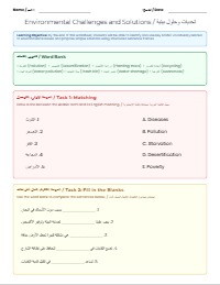 Arabic Environmental Challenges and Solutions Worksheet