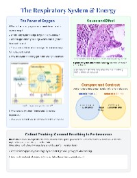 Exploring Metabolism and Energy