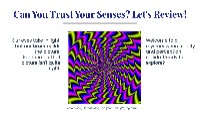 Human Senses Test Review