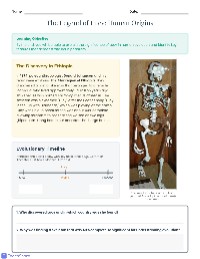 Lucy: Our Ancestor