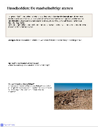 Prehistorie Studiegids