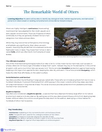 Understanding River and Sea Otters