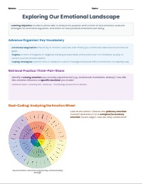 Understanding Our Emotions: A Health Guide