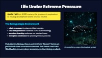 Unveiling Mysteries of Marine Biodiversity