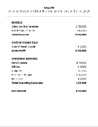 Salon Financial Statements
