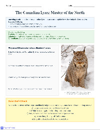 Canadian Lynx Fact Sheet