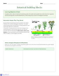 Read Aloud: The Tiny Seed