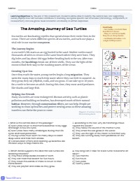 Mastering Informational Text Structures and Ideas