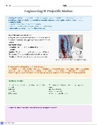 Projectile Motion Launchers