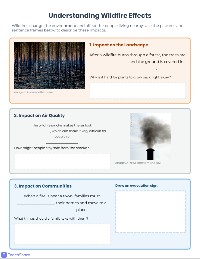 Wildfire Cause and Effect