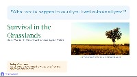 Grassland Plants: How They Survive