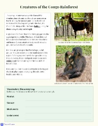 Congo Rainforest Wildlife