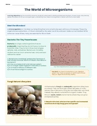Microscopic Worlds: Bacteria, Viruses, and Friends