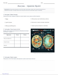 Білімді тексеру: Жасушалар