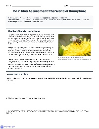 Main Idea Practice Test